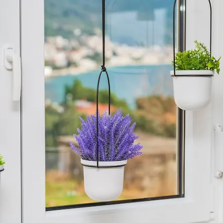 Laganini 2&4 Appartamento *